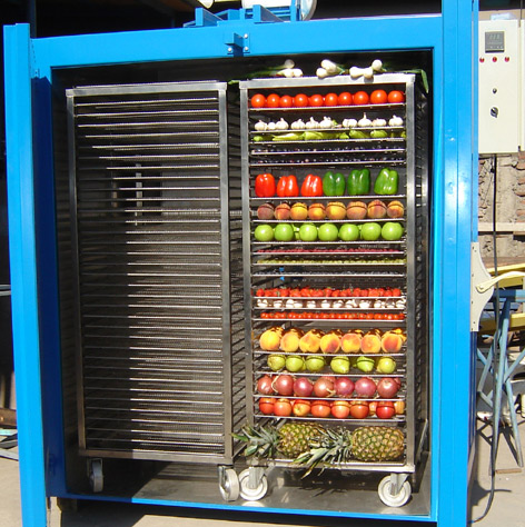 Deshidratador de frutas y verduras industrial